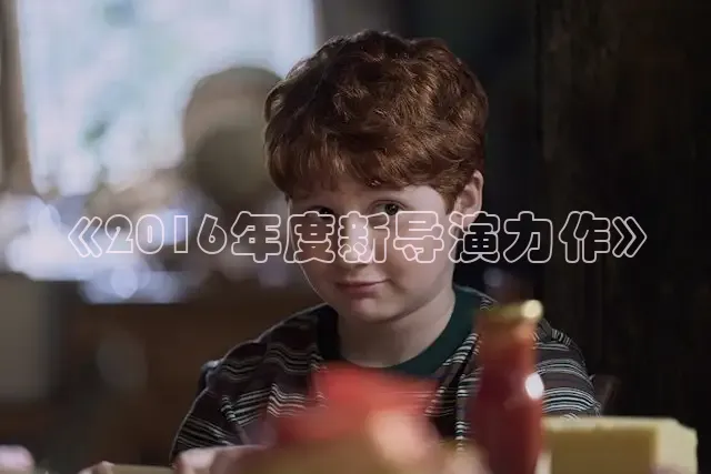 《2016年度新导演力作》